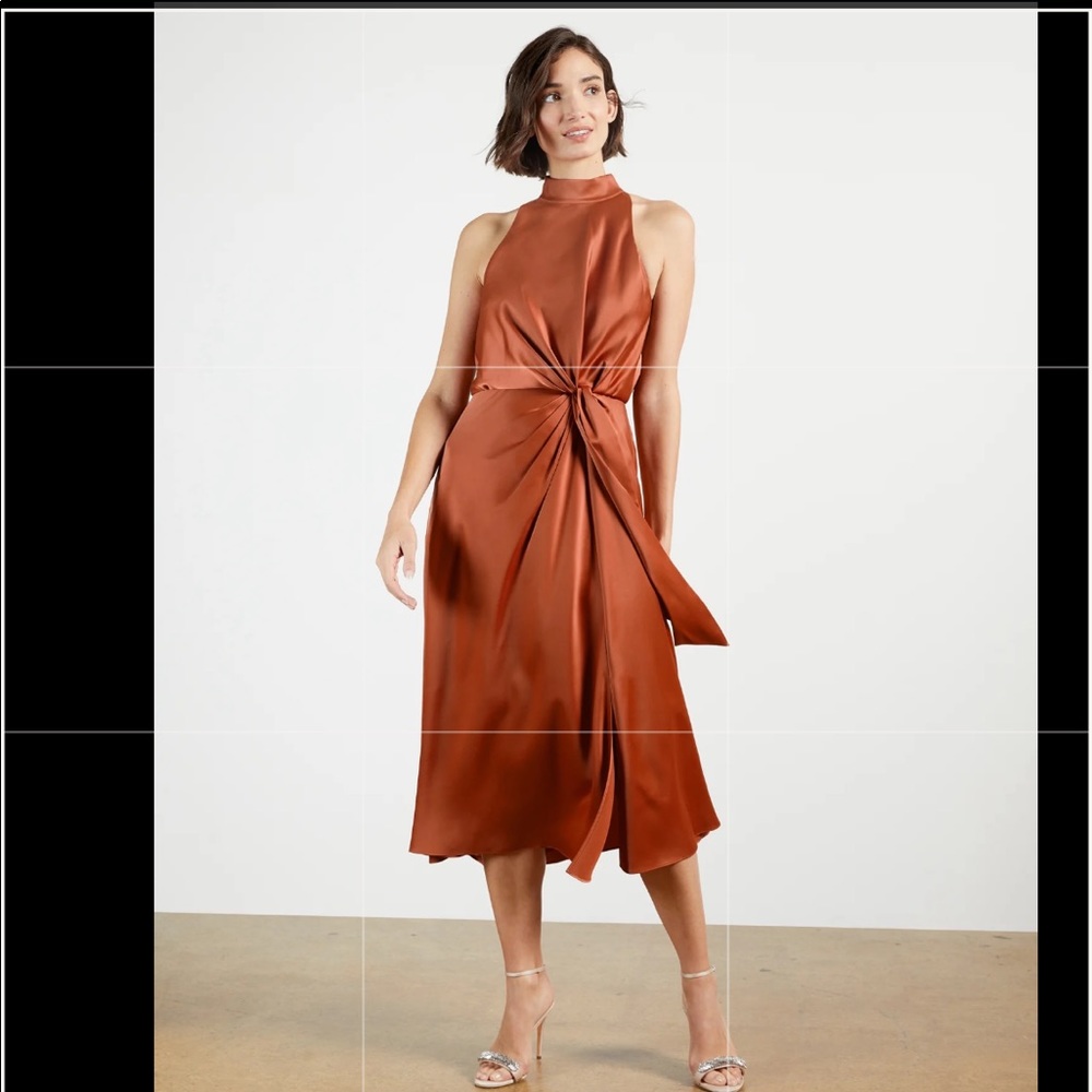 Ted Baker Lelly Dress, Rust, Size 4